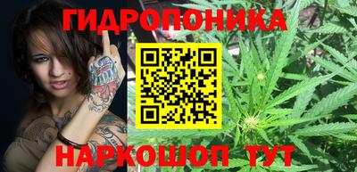соль ск Свободный