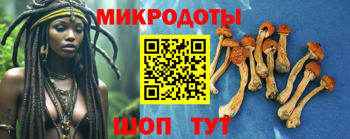 Псилоцибиновые грибы мухоморы Саянск